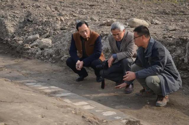 这份建议，网上浏览数以万计